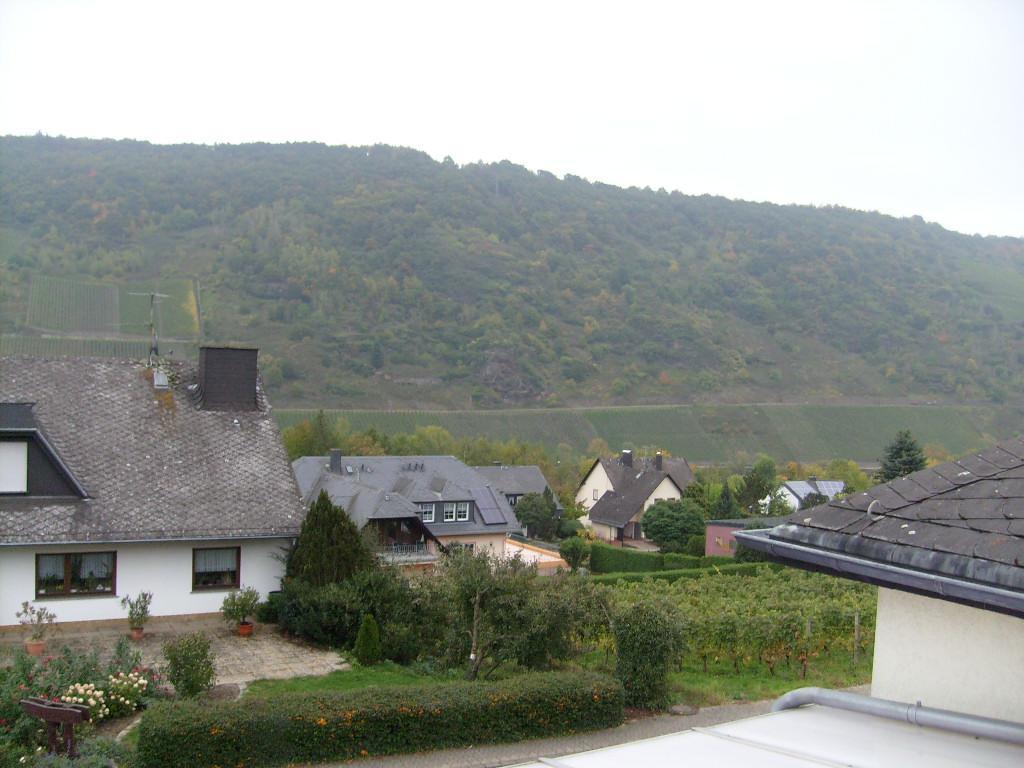 Pension Kroth An Der Mosel Briedel Extérieur photo